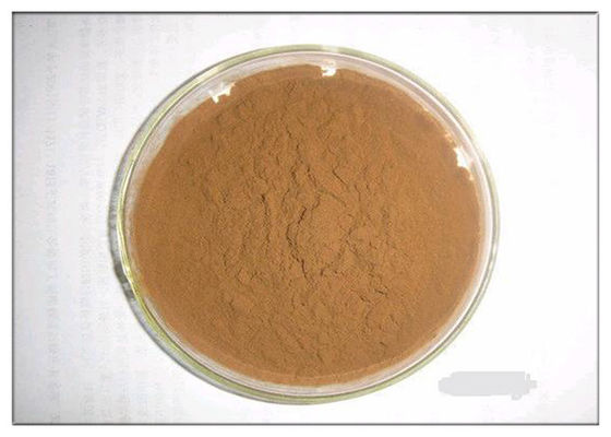 Skin antioxidation Plant Extract Powder Phloretin Apple Tree Root & Bark Extract
