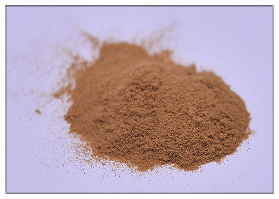 Anti-Virus Chicory acid Polyphenols Echinacea pururea Extract Powder