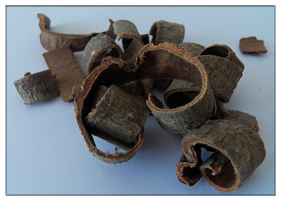 90٪ / 95٪ مگنولیا عصاره پوست مگنولیا Officinalis L. پودر بدون بخشی مصنوعی