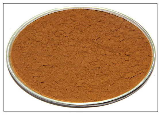 প্রসাধনী রোজাদার অ্যান্টিঅক্সিডেন্ট এক্সট্র্যাক্ট, রোজামারি এক্সট্র্যাকশন গুঁড়া সিএএস 20283 95 5