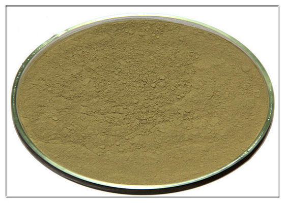 I rosmarini cosmetici naturali acidi degli ingredienti di Ursolic estraggono l'ossidazione anti- CAS 77 52 1