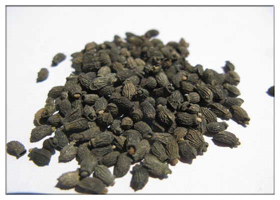 Borage বীজ জৈব উদ্ভিদ তেল ওমেগা 6 গ্লাজা জন্য অ্যান্টি জারণ