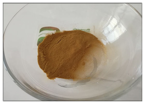 التفاح شجرة الجذر استخراج النباتات الطبيعية النقية، استخراج النباتات الطبية كاس 60 82 3