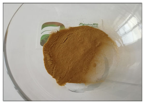 ضد اکسیداسیون عصاره برگ های زیتون طبیعی Hydroxytyrosol 20٪ Solvent in Water