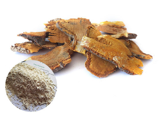 طبیعی ترانس رزوراترول پودر عصاره گیاهی 99٪ عصاره ریشه گیاه Polygonum Cuspidatum