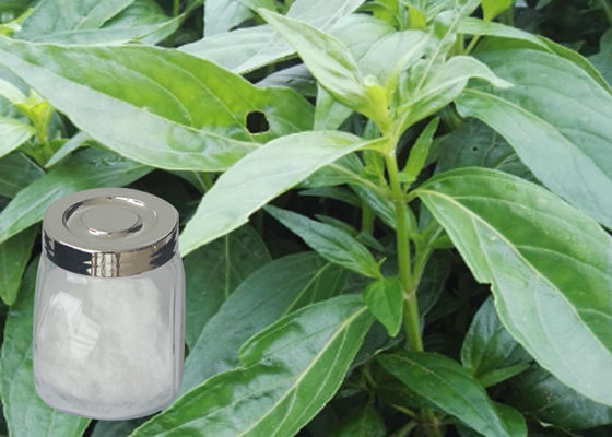 zuivere natuurlijke installatieuittreksels Andrographolide van het Uittreksel van Andrographis Paniculate