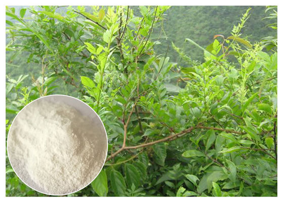 Dihydromyricetin ease alcohol syptoms Ampelopsis grossedentata Extract powder