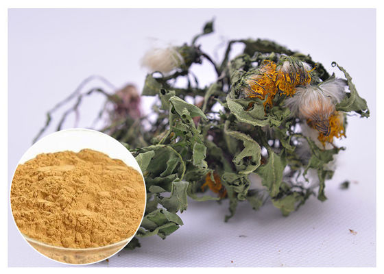 Flavones Dandelion Root Extract Powder For Diuretic Whole Herb Extraction