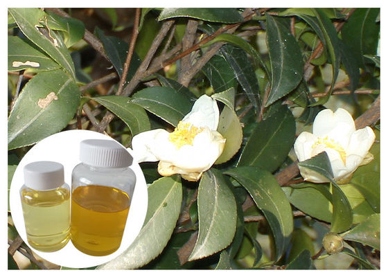 Ingredienti cosmetici naturali dell'olio dell'acido grasso dal seme oleifera della camelia