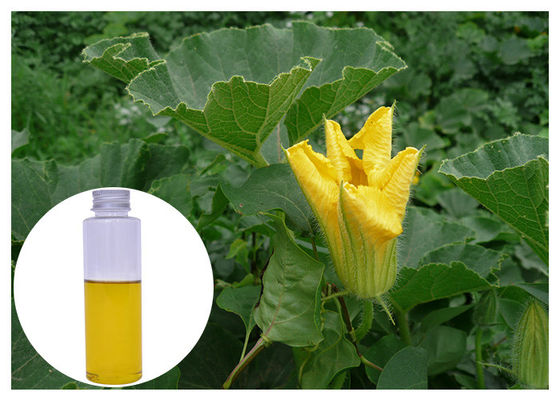 استخراج البذور العضوية زيت اليقطين الملحق تعزيز وظيفة الجنس الذكور