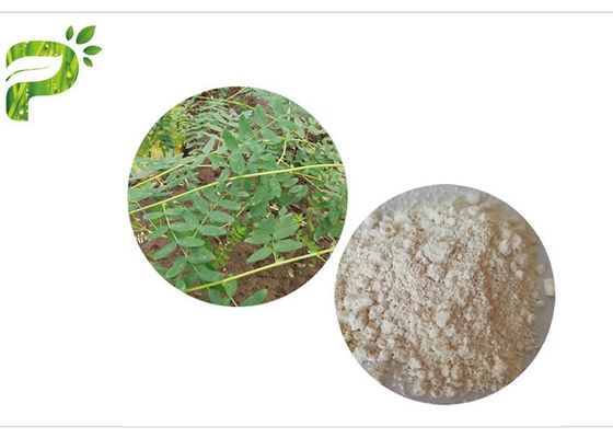 CAS 84687 43 4 আস্ট্রাগালাস মেমব্রেনেসিয়াস এক্সট্র্যাক্ট এস্ট্রাগালোসাইড IV 98% এন্টি এজিং