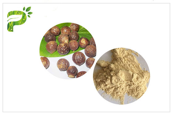 Ingredienti 50%/70% delle saponine dell'estratto di Soapnut della forma della polvere per sciampo