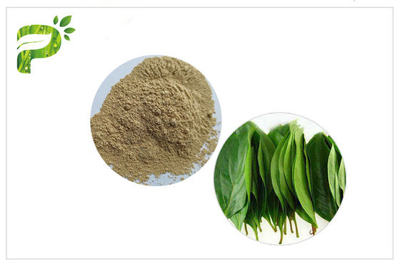 CAS 77 52 1 agente antinvecchiamento acido cosmetico di Ursolic dell'estratto della foglia del cachi