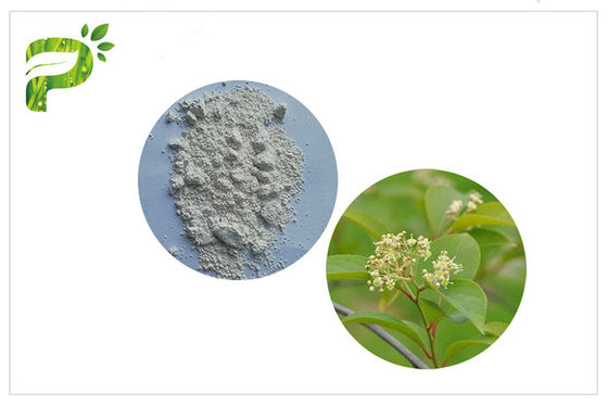 Tripterygium Wilfordii مستخلصات نباتية مسحوق Immunosuppressant Activitiy Triptolide CAS 38748 32 2