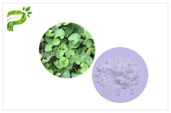 Triterpeni cosmetici naturali di Asiaticoside dell'estratto della foglia della cola di Gotu dell'acne degli ingredienti della polvere