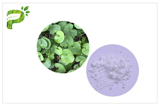 آکنه Gotu Kola پودر تیتانیده عصاره Centella Asiatica ضد التهابی عملکرد