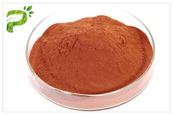 المضادة للأكسدة الطبيعية المكملات الغذائية Proanthocyanidins PACs استخراج لحاء الصنوبر