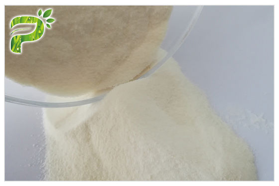 Culturismo a catena ramificata della polvere di aminoacidi degli integratori alimentari naturali di BCAA reso istantaneo vegano