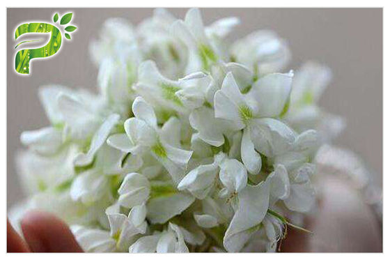 CAS 153-18-4 المكملات الغذائية الطبيعية الصفيراء Japonica استخراج مسحوق روتيني