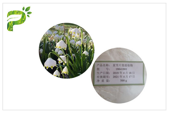 Estratto cosmetico naturale regolare di leucojum aestivum del fiocco di neve di estate degli ingredienti della pelle