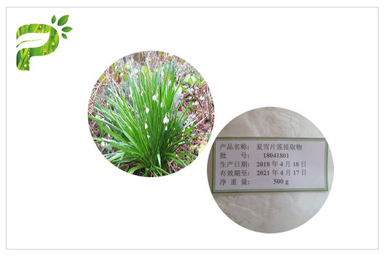 Polvere cosmetica naturale di leucojum aestivum del fiocco di neve di estate degli ingredienti dell'anti grinza