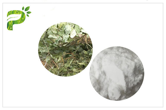 الرجال تعزيز الجنس قرنية الماعز الاعشاب / استخراج ابيمديوم Icariins Icariin CAS No 489 32 7