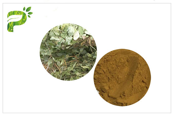 الرجال تعزيز الجنس قرنية الماعز الاعشاب / استخراج ابيمديوم Icariins Icariin CAS No 489 32 7