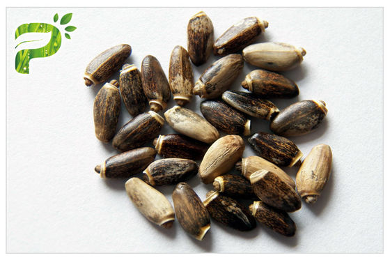 Silymarin / Silybin المكملات الغذائية الطبيعية CAS 22888 70 6 مستخلصات نبات الشوك الحليب منع اضطراب الكبد