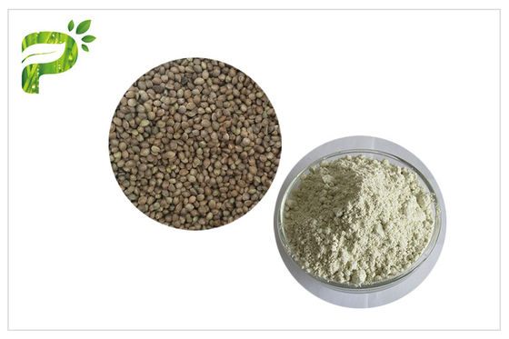 Plant Source Natural Dietary Supplements Protein Organic Hemp Seed Kernel Protein Powder 50% 60%