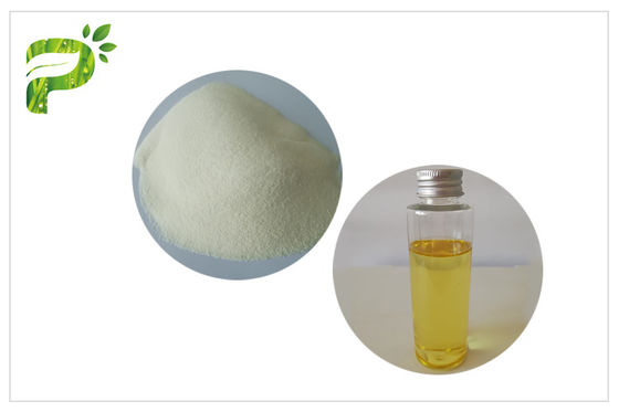 أوميغا 6 زهرة الربيع المسائية العشبية استخراج فيتامين F مسحوق للأقراص خفض ضغط الدم