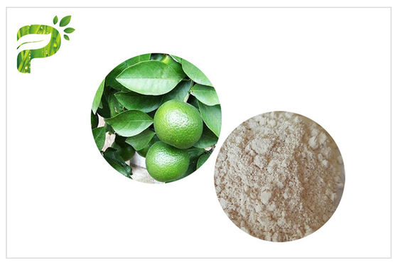 CAS 94 07 5 المستخلصات المريرة البرتقالية Synephrine Citrus Aurantium Extract