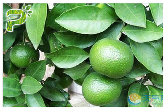 CAS 94 07 5 المستخلصات المريرة البرتقالية Synephrine Citrus Aurantium Extract