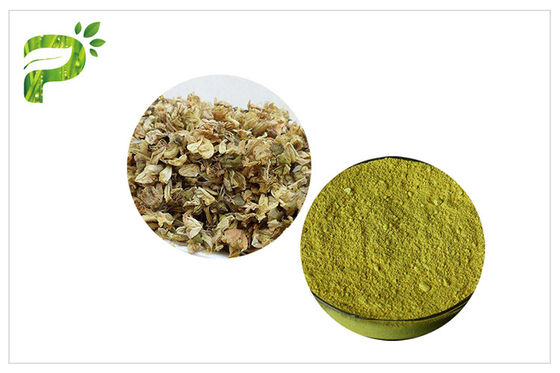 GMP ISO معتمد الصفيراء جابونيكا استخراج / Rutin سعر المكملات الغذائية