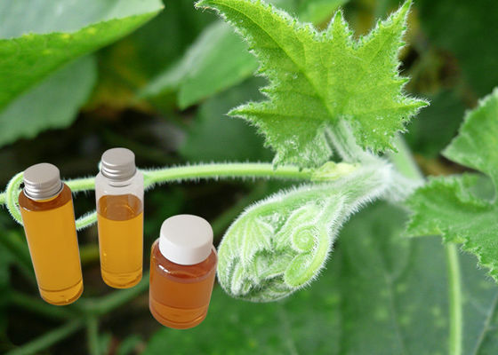 روغن دانه کدو تنبل مواد غذایی طبیعی پروتئین مواد غذایی درجه است