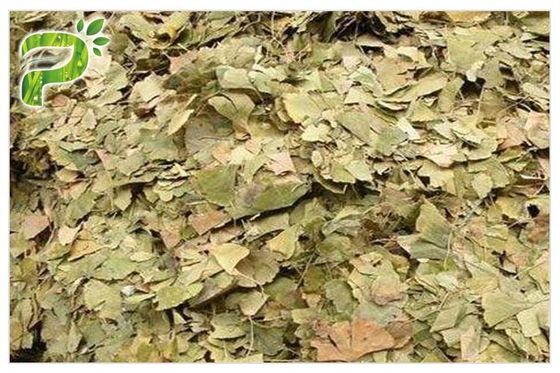 تمنع أمراض القلب والأوعية الدموية انخفاض ضغط الدم Ginkgo Biloba Extract USP، EP