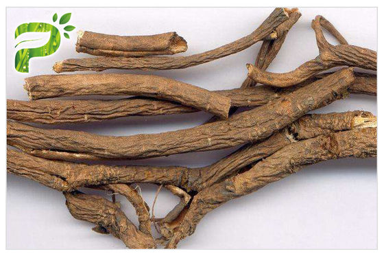 عصاره های گیاهی جینسنگ سیبری Acanthopanax Senticosus Eleutheroside B / E