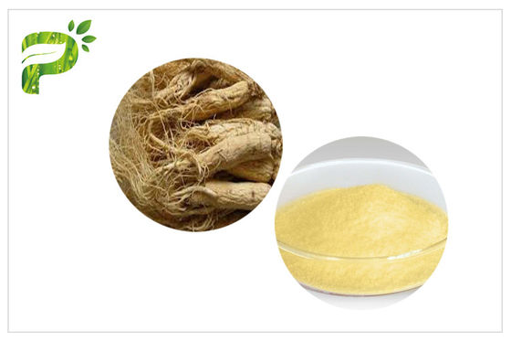 কার্ডিওভাসকুলার রোগ জন্য জৈব প্যান্স্স Ginseng বিশুদ্ধ প্রাকৃতিক উদ্ভিদ নির্যাস