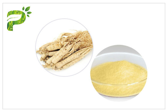 باناكس الجينسنغ استخراج مسحوق ملاحق الطاقة الطبيعية تحسين نظام المناعة