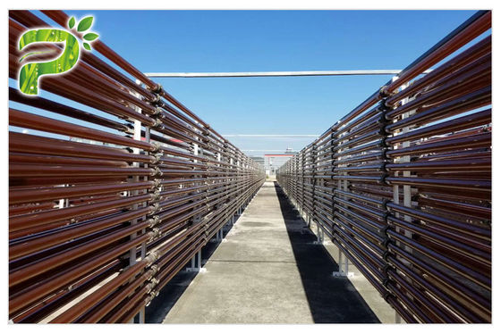 CAS 472 61 7 Haematococcus Pluvialis استخراج مضاد الأكسدة Astaxanthin للذوبان في الماء البارد