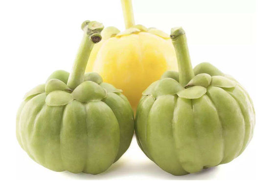 CAS 90045 23 1 গার্সিনিয়া কম্বোগিয়া এইচসিএ প্রাকৃতিক উদ্ভিদ নিষ্কাশন