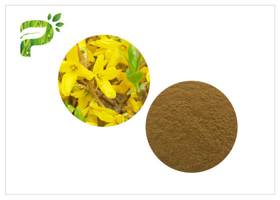 مستخلص نبتة سانت جون مكمل غذائي هايبرسين هايبروسيد CAS 548 04 9