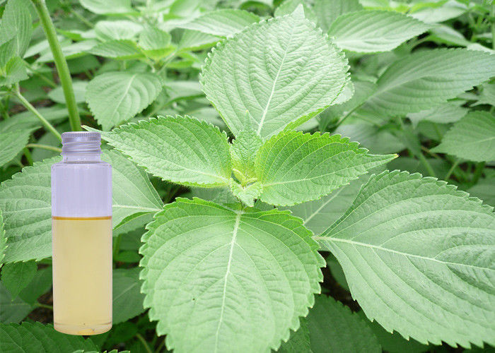 أوميغا 3 العضوية بيريلا النفط السائل اللون الأصفر لخفض الكولسترول