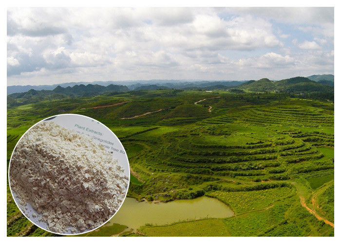 Prevent heart diseases Trans resveratrol 98% 99% Giant Knotweed Extract