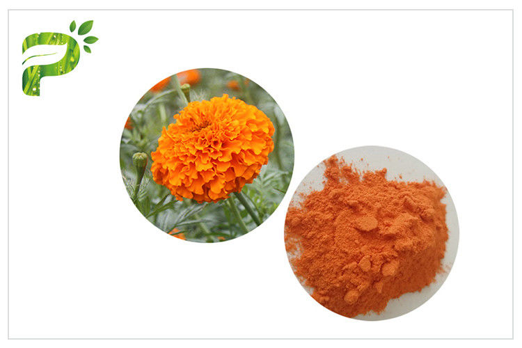 CAS 127 40 2 عصاره گل لوتئین Marigold، پودر عصاره Marigold برای قرص