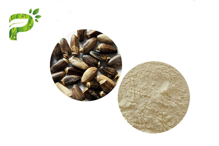 Silymarin / Silybin Plant Extract Powder CAS 22888 70 6 Milk Thistle Preventing Liver Disorder
