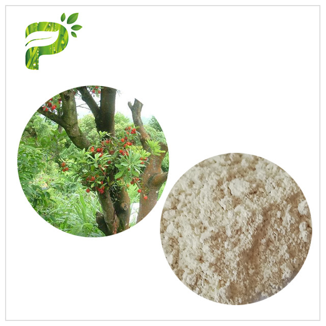 Water Solvent Bayberry Bark Extract Powder , Myricetin Anti ...
