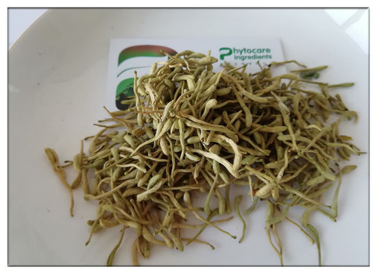 إزالة السموم لونيسيرا جابونيكا استخراج، حمض الكلوروجينيك استخراج 80 شبكة مسحوق