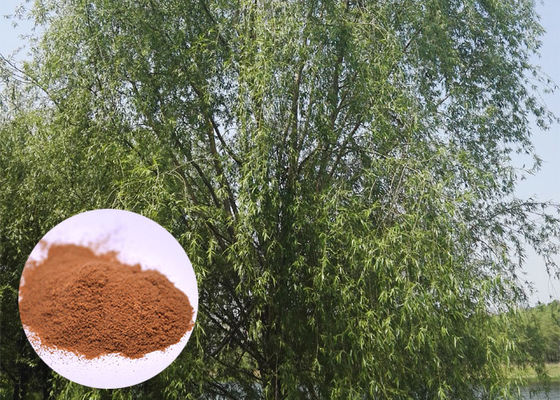 Extrato da casca do salgueiro branco de Salicin 98%, pó CAS da casca do salgueiro branco 138 52 3