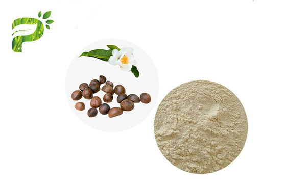 مستخلصات نباتية طبيعية كاميليا Oleifera هابل البذور استخراج الشاي Saponins المنظفات الطبيعية