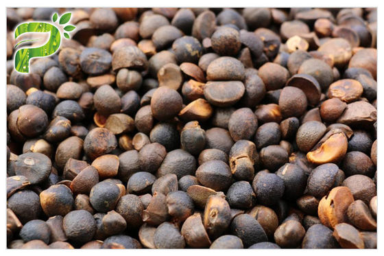 Groentebeschermingsgebied China Tea Saponins Camellia Oleifera Extract Goede meststof